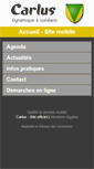 Mobile Screenshot of carlus.reseaudescommunes.fr